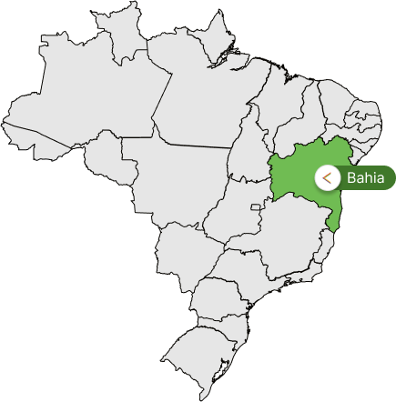 Mapa do Brasil