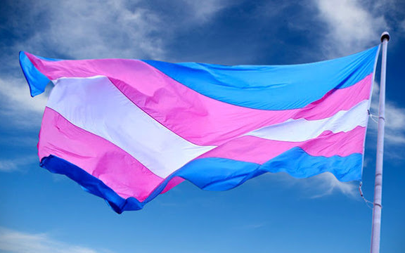 Bandeiras Trans