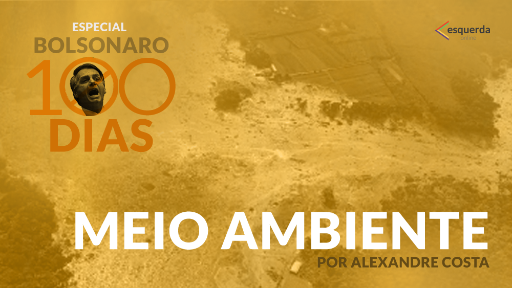Governo Bolsonaro e Meio Ambiente: política de terra arrasada