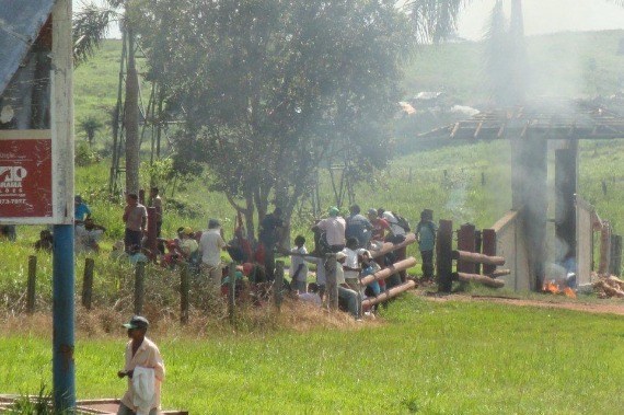 Nova Lei de Terras do Pará favorece a grilagem e o desmatamento