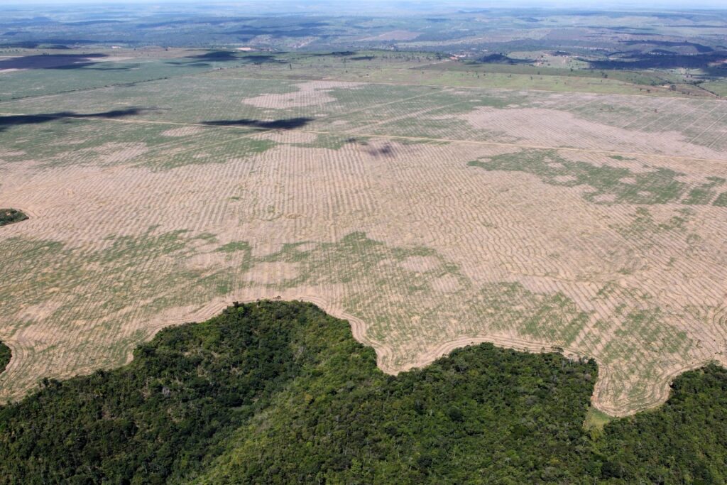 Amazônia em chamas