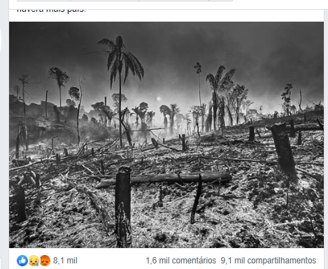 Há uma floresta queimada sobre o Brasil