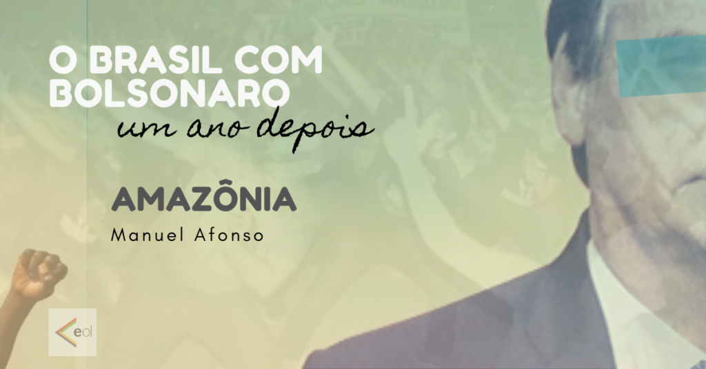 Um ano de governo Bolsonaro leva a Amazônia à beira do colapso
