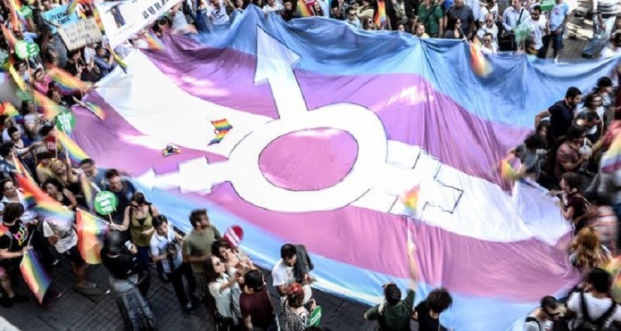29 de janeiro de 2020: por visibilidade e direitos às pessoas trans no Brasil de Bolsonaro