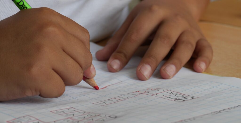 Ensino à distância em época de pandemia, um precedente perigoso