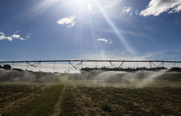 O empresariado rural e a pandemia: uma febre de bom senso?