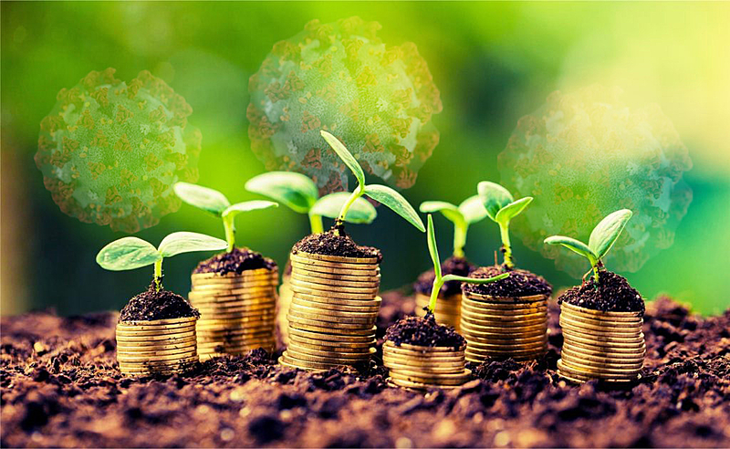 Para deter as alterações climáticas, precisamos de um Leninismo ecológico