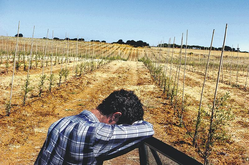 Trabalho rural imigrante: uma história de exploração humana desenfreada (entrevista)