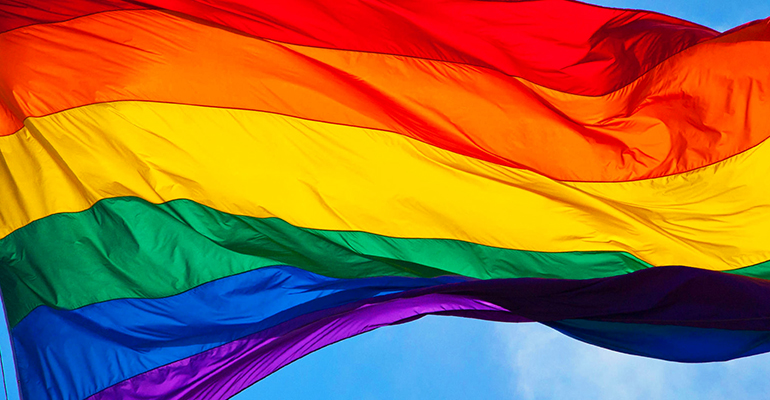Os “muros de pedras” erguidos no Brasil e na América Latina contra o preconceito e a discriminação: movimentos de resistência LGBTQ+ pré-Stonewall e o GT Bibliotecas para a Diversidade e Enfoque de Gênero