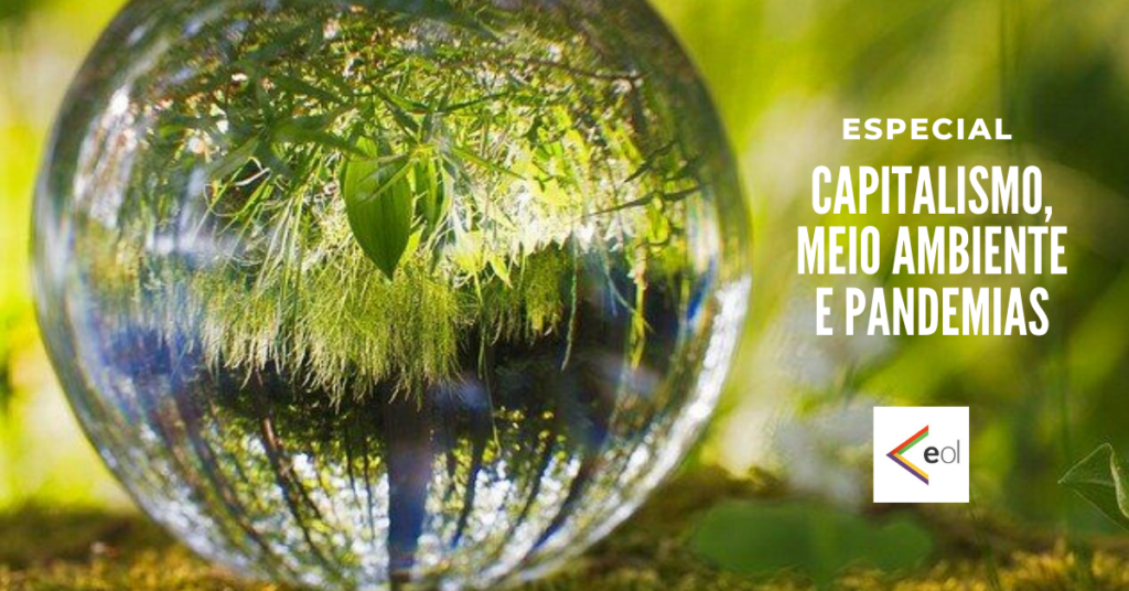 Capitalismo, meio ambiente e pandemias