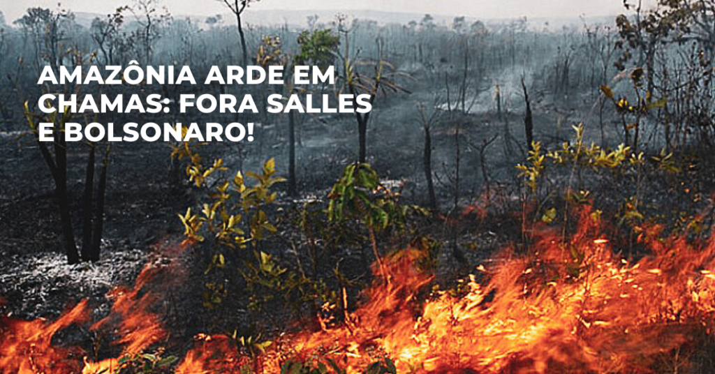 Genocídio indígena e destruição ambiental