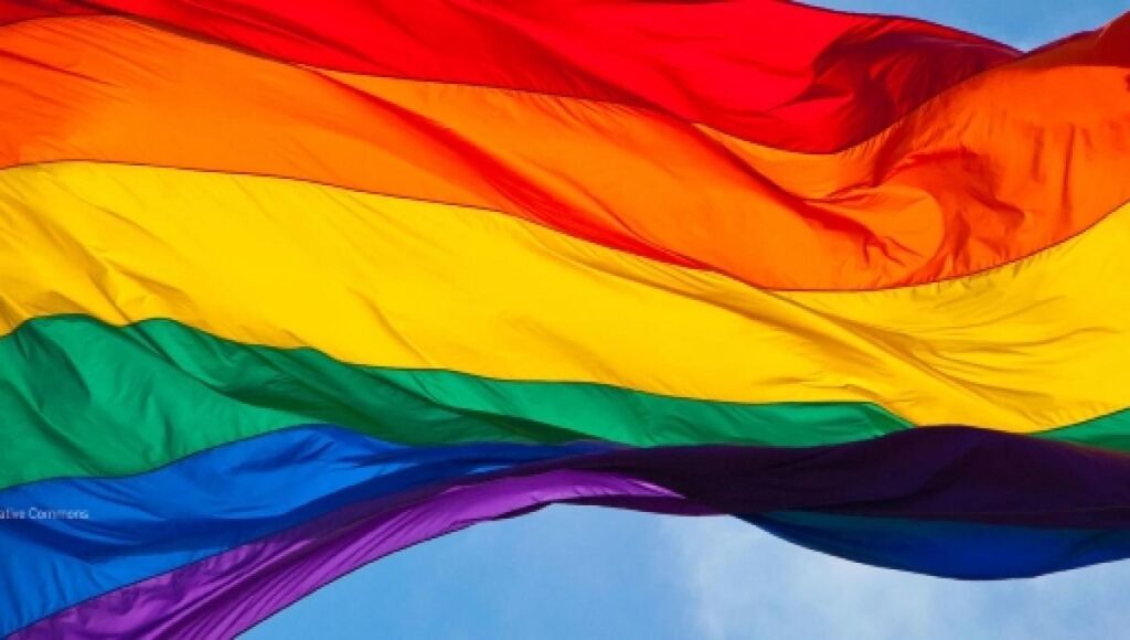 Um ano da criminalização da lgbtfobia no Brasil