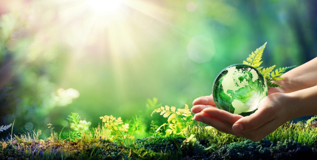 Síntese do Especial Capitalismo, Meio Ambiente e Pandemias
