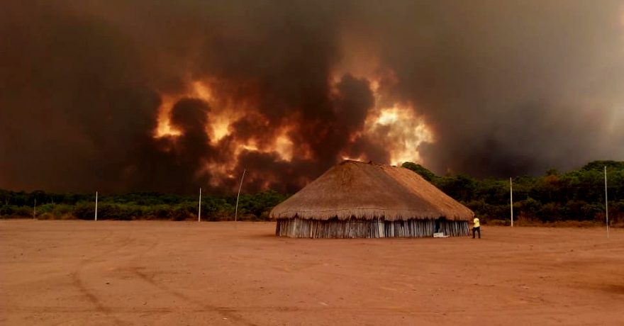 Saiba onde e como vão ser os atos da Greve Mundial do Clima no Brasil