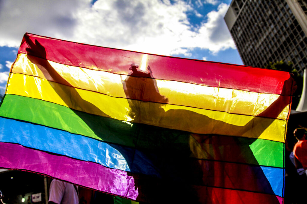 Meninas vestem rosa, Meninos vestem azul: Brasil, diversidade e pautas LGBTIA+