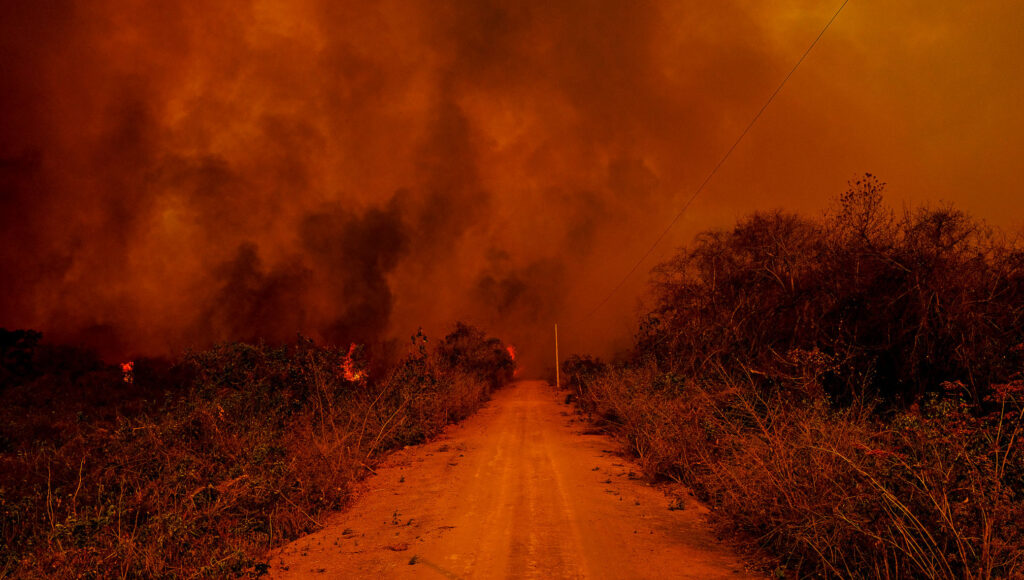 SOS Pantanal