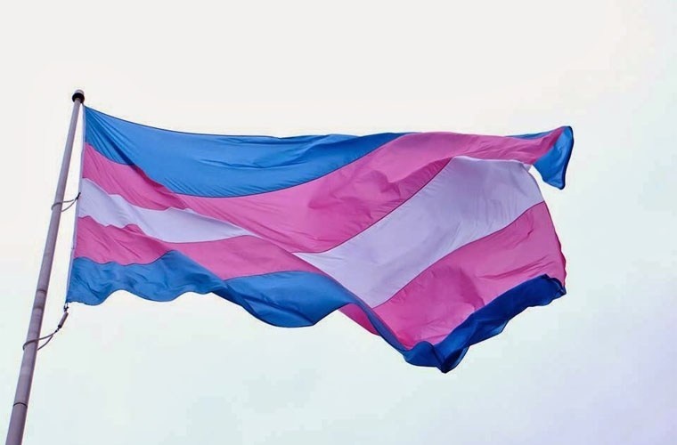 VISIBILIDADE TRANS | Contra a transfobia e a violência política, fora Bolsonaro: vidas trans importam