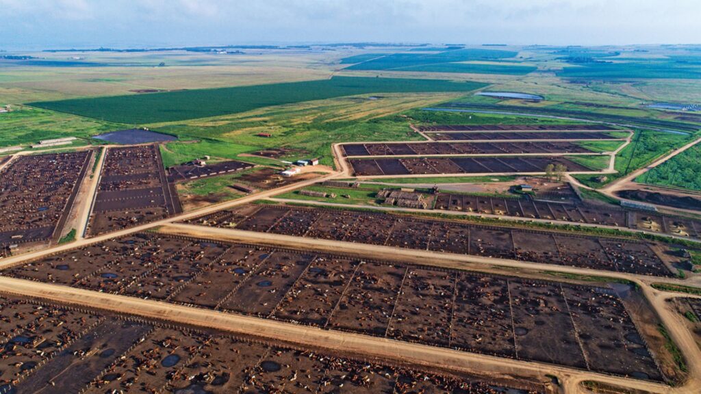 Planeta fazenda