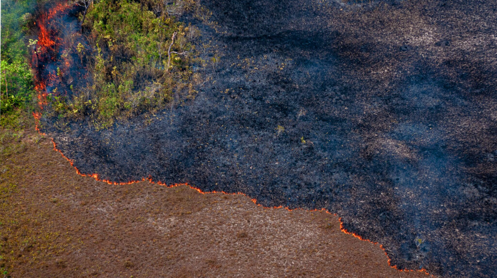 Bolsonaro prepara mais ataques ao meio ambiente em 2021