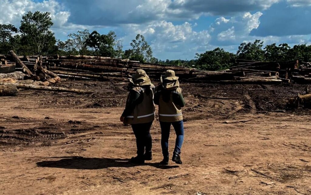 Estabilidade serve para proteger servidores, como os que denunciaram o ministro Salles