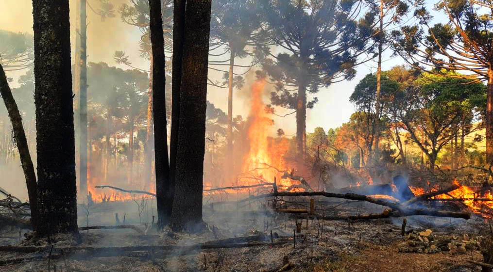 Manifesto do Afronte: Ir às ruas no dia 24 de setembro e construir a Greve Global pelo Clima