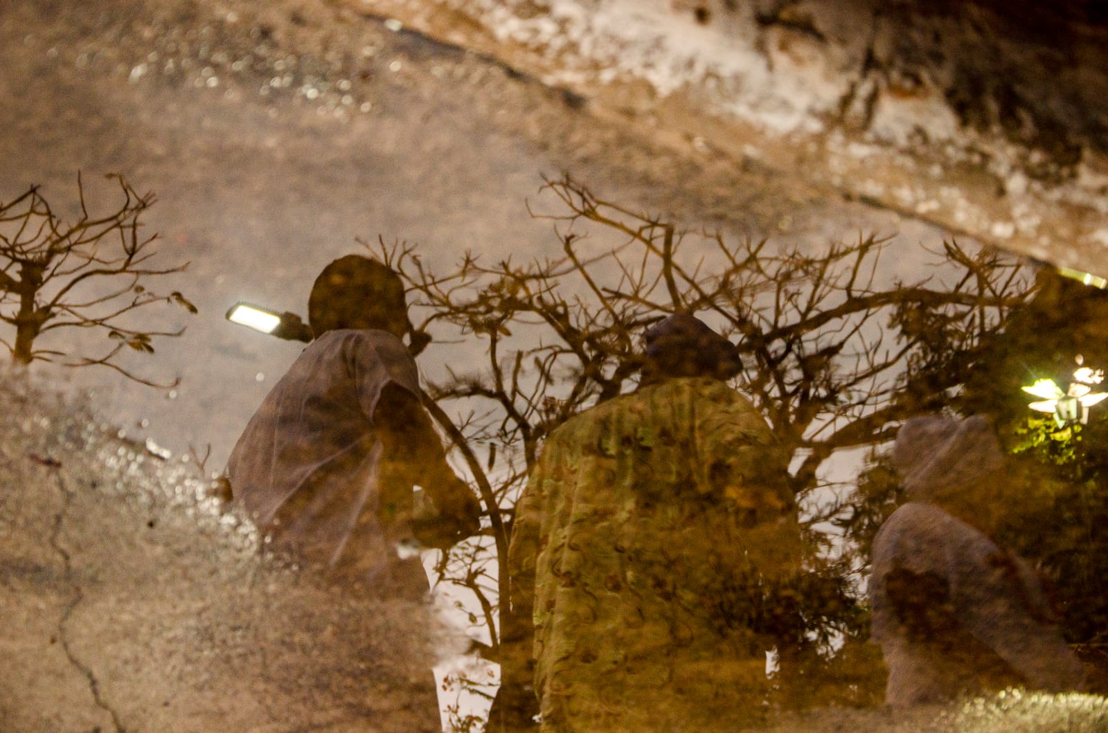 Foto mostra no reflexo de uma poça dágua, três manifestantes caminhando e acima deles, galhos de uma árvore, sem folhas.