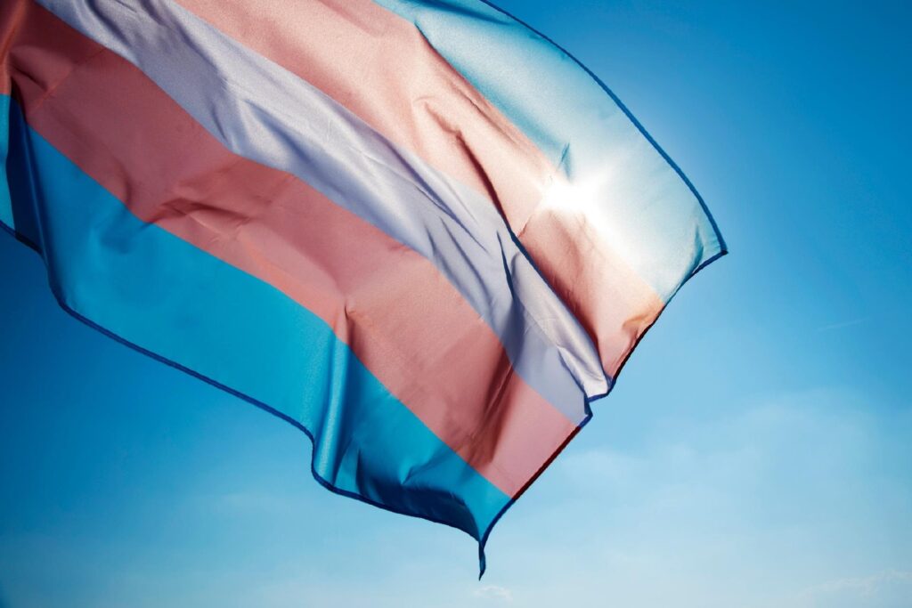 Visibilidade trans em 2021: a visibilidade é parte da luta política