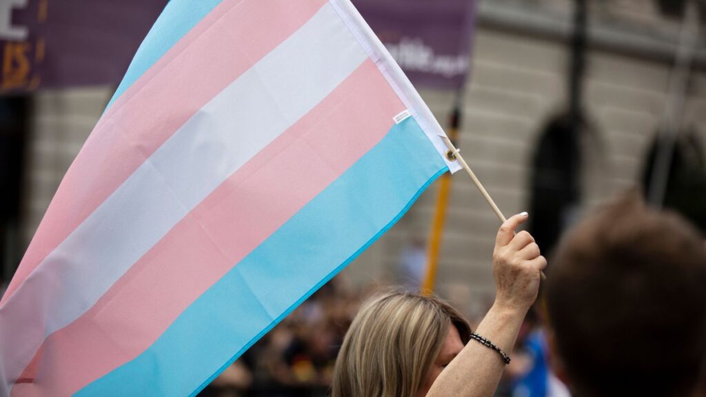 A hora é agora: cotas para pessoas trans nas universidades públicas já!