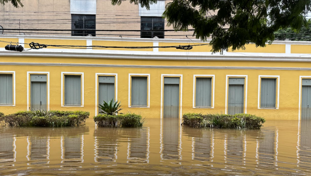 Os custos da lavagem verde no Rio Grande do Sul