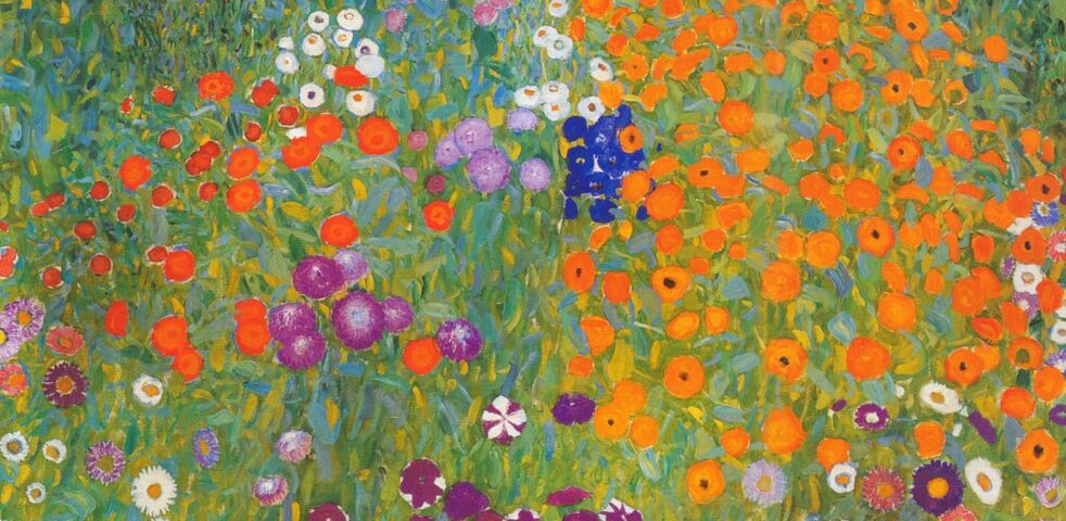 Pelo direito à esperança