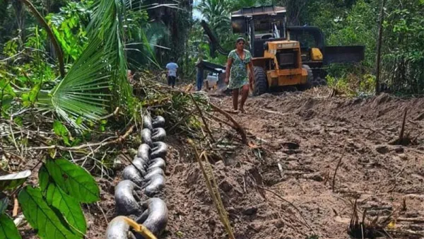 O atual ciclo de conflitos agrários e socioambientais no Maranhão